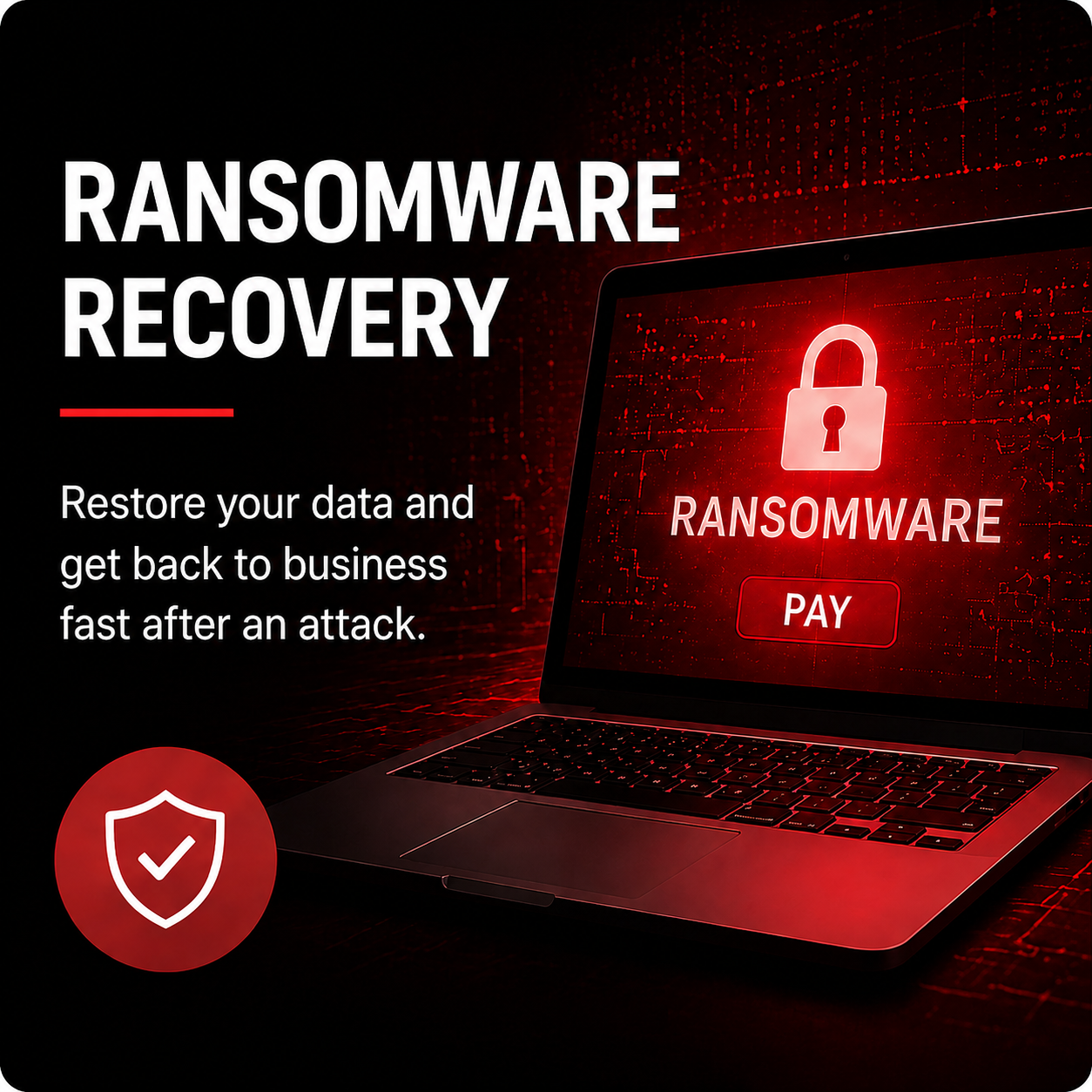 Ransomware Recovery